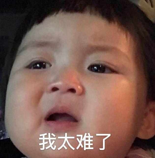 我太难了表情包